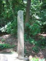 Thumbs/tn_P2 046.jpg